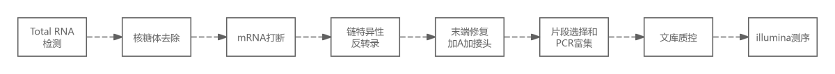 原核轉(zhuǎn)錄組測序流程